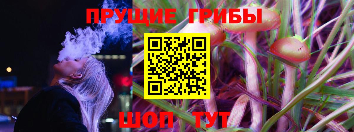 Гурьевск  купить наркоту  Вход с VPN  Галлюциногенные грибы ЛСД 